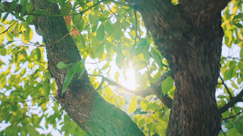 �й����ط�7790���Ӽ���(�ɷ�)���޹�˾-�ٷ���վ