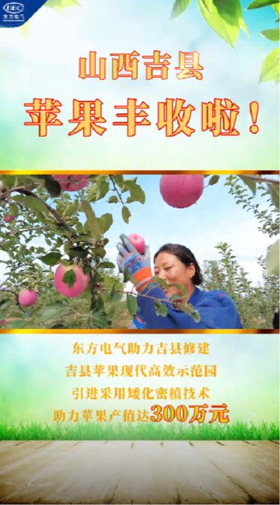 �й����ط�7790���Ӽ���(�ɷ�)���޹�˾-�ٷ���վ